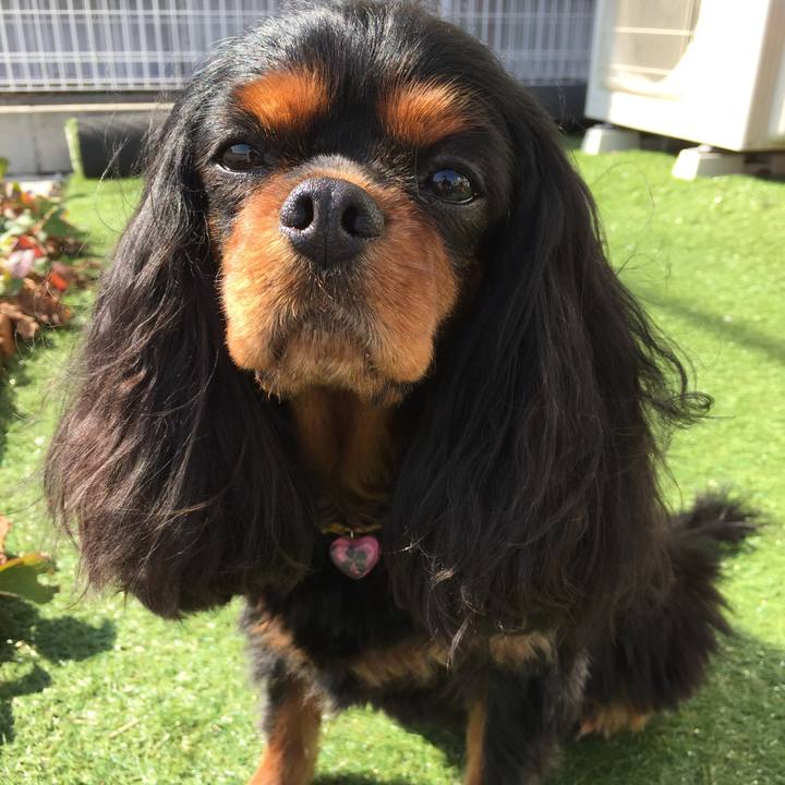 527ffbc6 ee78 4942 a50f 8d5b6aa091ac 1523973027146