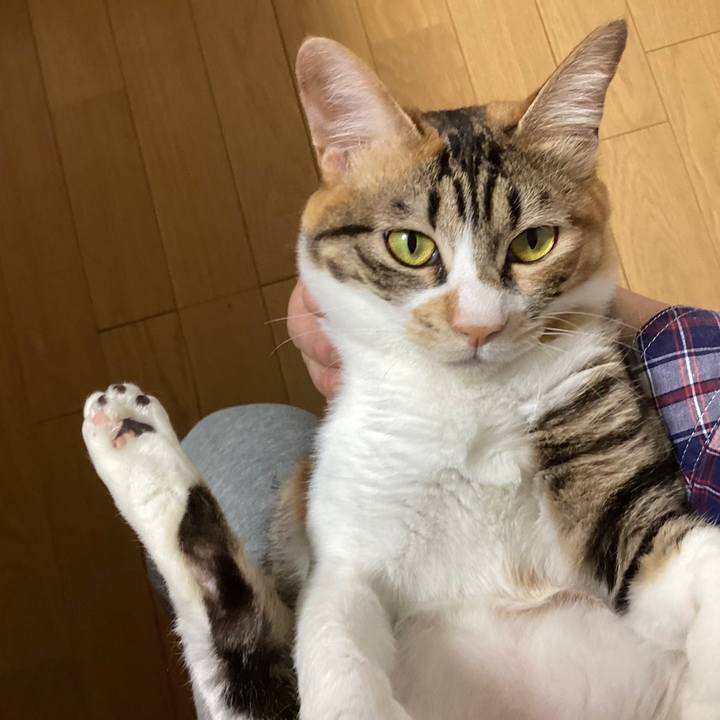 52800867 253f 4b08 8909 4d4564e6ea9c 1682830257198