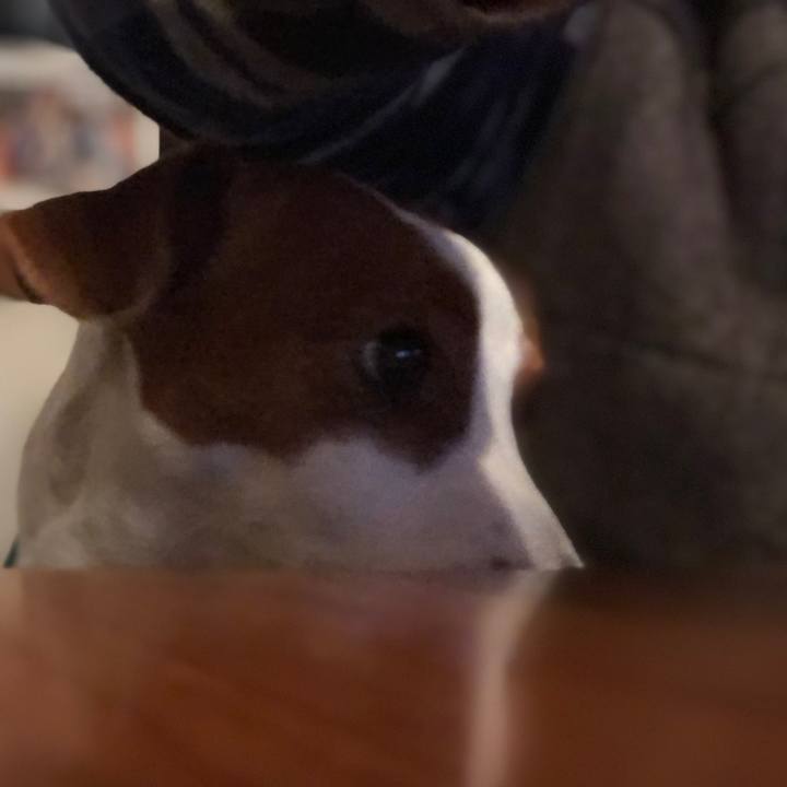 5280208c 1b33 4dff b21e 3fa315a88a31 1578050081414