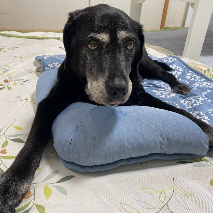 5280338e 7417 49f5 85e6 e4e5e907b570 1751639928316