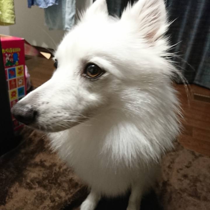 52807fcc 1bed 4dcb 97f7 4b79146d33fb 1536045577057