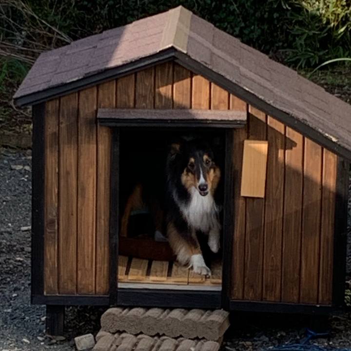 528102bb 9a16 48c1 8a31 dec55a2b1197 1555195341515