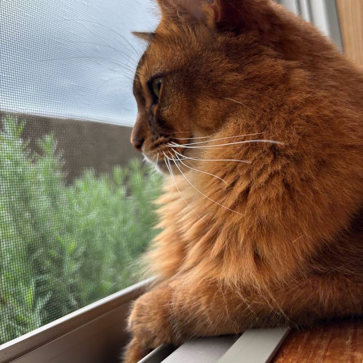 5281382c 9d1d 467c 8468 b427f266b655 1760575250431