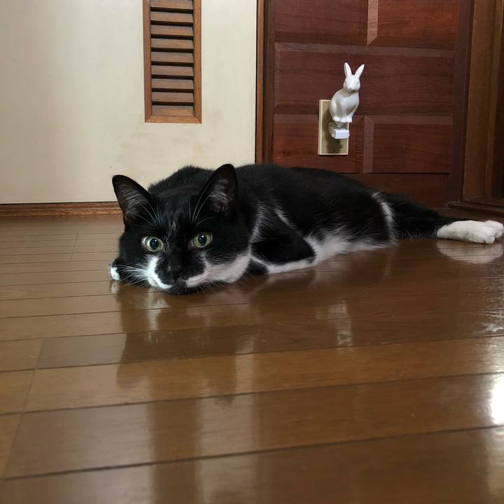 528187d3 d2f7 42e2 902e f98e66f825f3 1532088089257