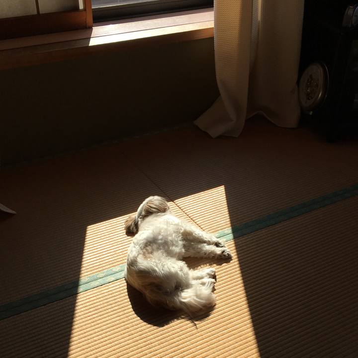 5281b4da c340 4e66 a239 d558ef60d4ae 1552522125624