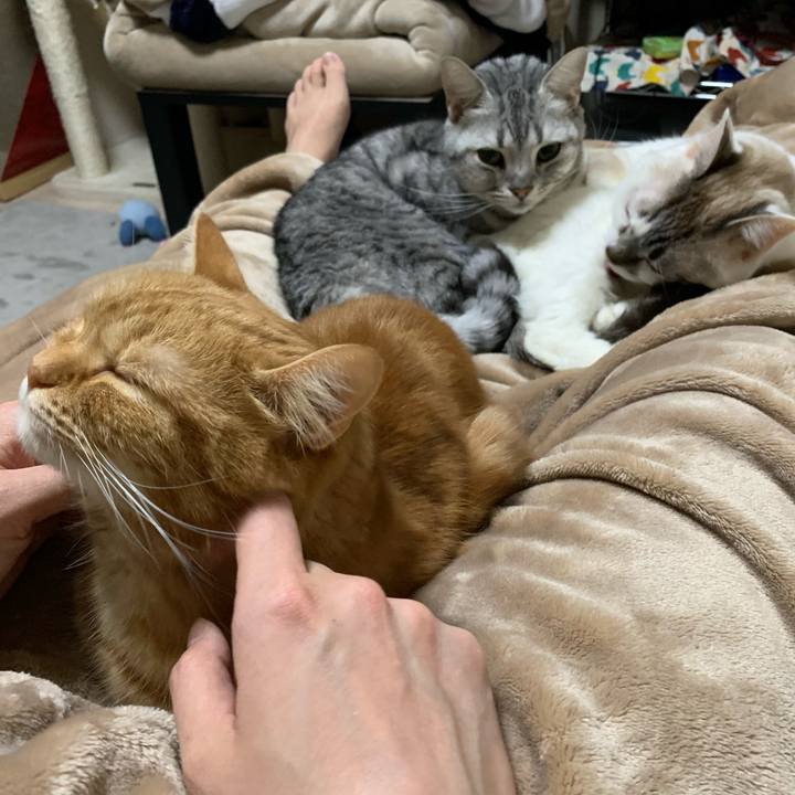 5281d18a d971 49ca 9170 60b91a1937bd 1614172109011