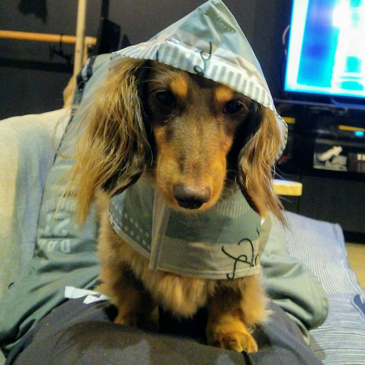 5281fb8c 4312 4f36 bffc b21bdf2328c9 1538053801586