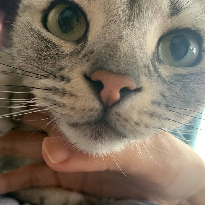 52821a0c c010 435e bdff 9a99f4f006bc 1676463683292