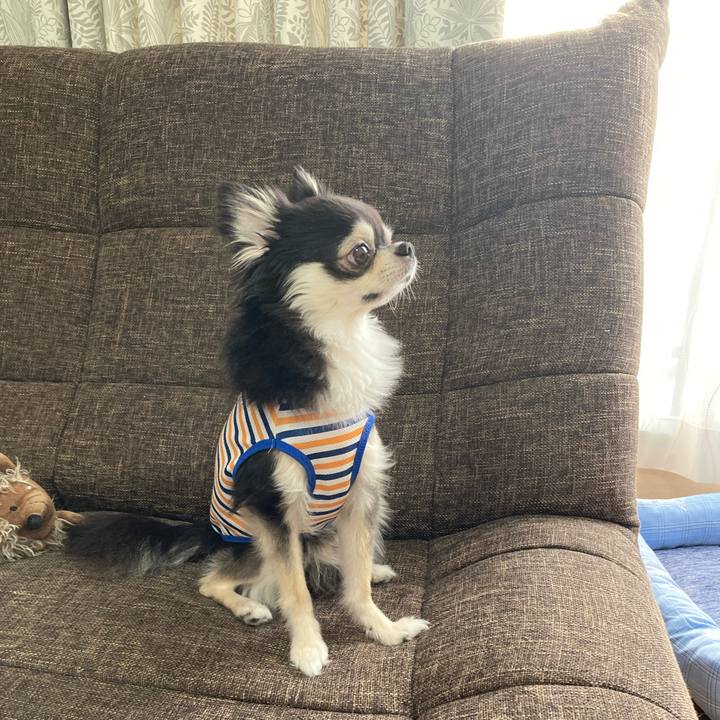 52821bb7 06e5 4e4a b588 15c51a24f041 1694878551947