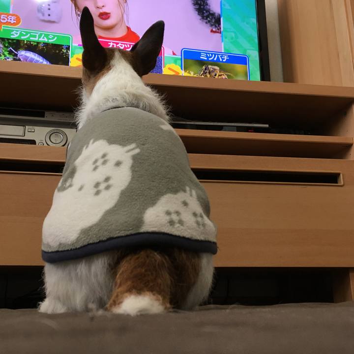 52827307 c267 4b2a b29e 6d7d394c5b88 1640819238875