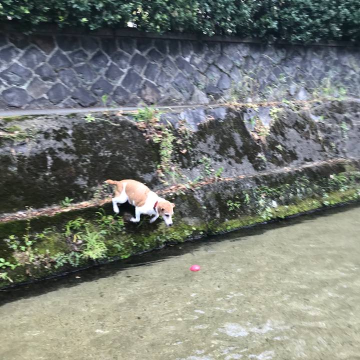 5282bdd8 a9ad 4efb bac6 4c704a9a86eb 1562400194047