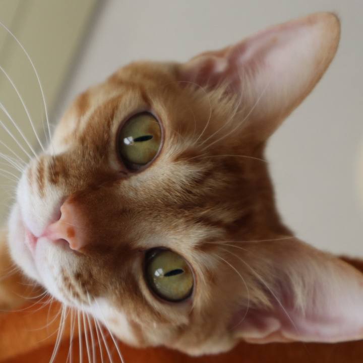 5282d25e 4937 44ff ae9b 8f4cf4938786 1642858473004