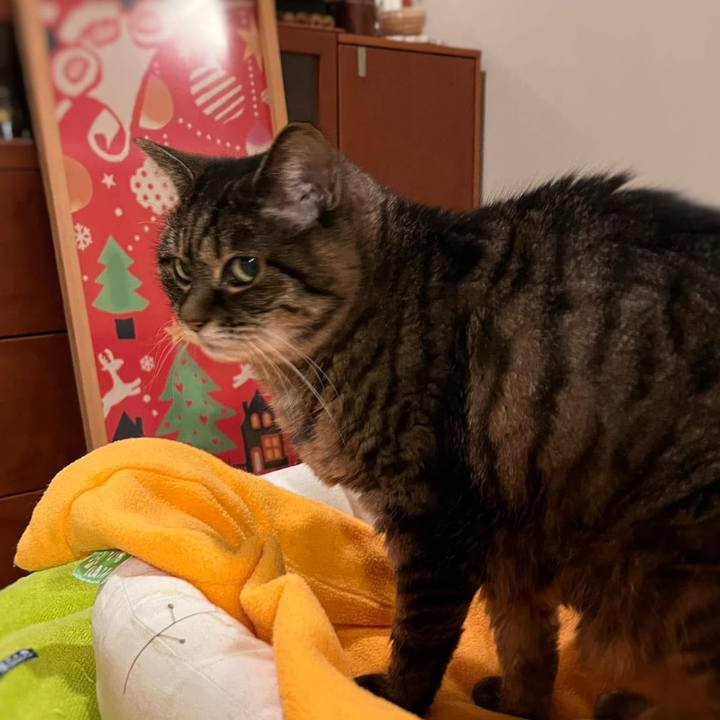 5282d6d1 e1e6 4dd3 9874 fe1cc8086062 1766525292081