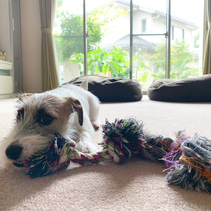 5282f437 cb7c 4245 9edf d3d4639675f3 1566787761612