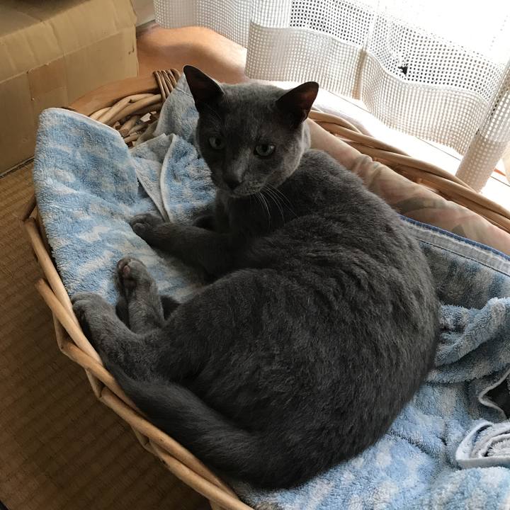 5282f7ed 18fa 402a 834f 0b3e0fe724cf 1531876257563