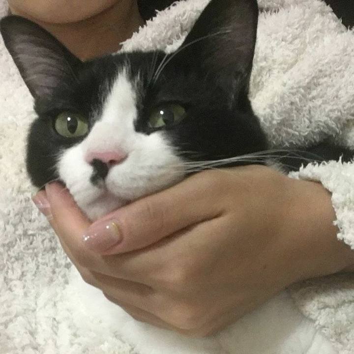 52834ab2 4e11 44f7 9bb2 c1496a48a369 1535598570995