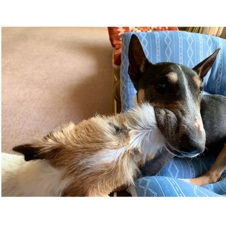 528353fe 2dc3 497b a441 8df57a979dc9 1591142777158