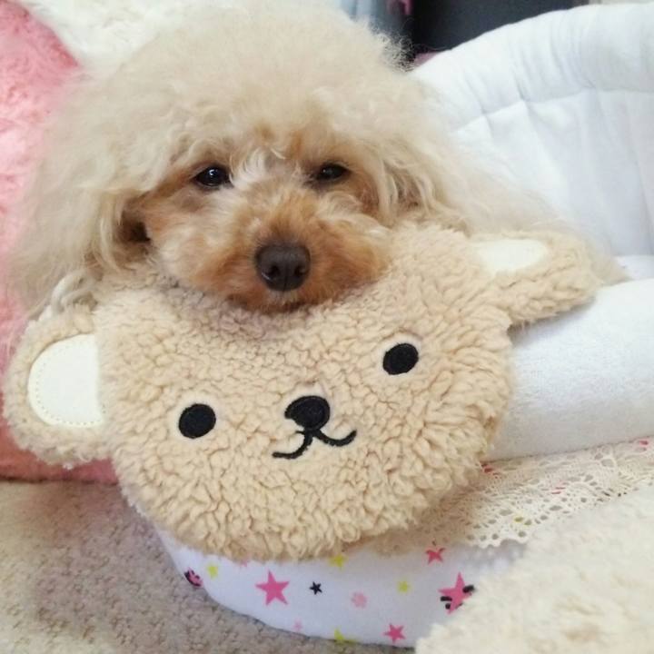 528372d5 8308 47ee 81da 1d31ce71f500 1515674622817