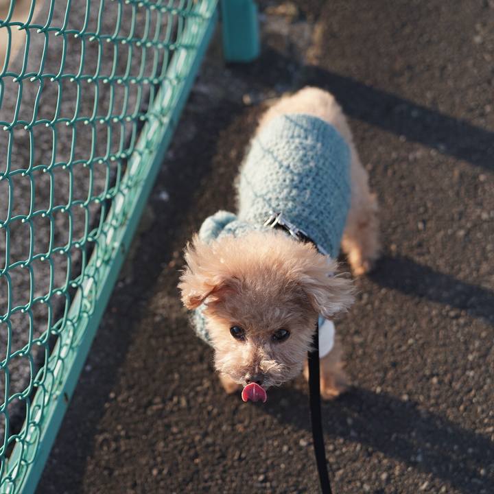 52837aca 1911 473c ad45 7500216bd5a2 1675596053736