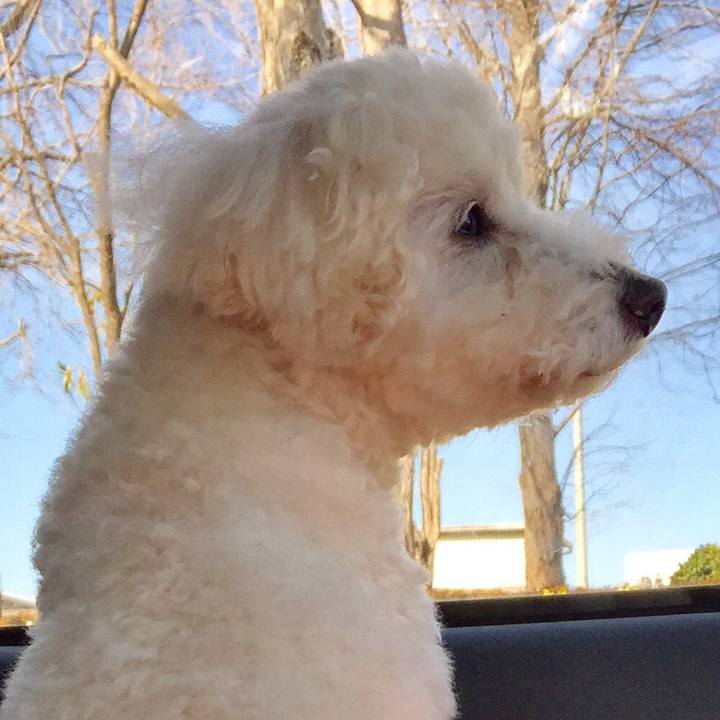 5283982f 25e1 4e37 930f f1800acbbb46 1520381046719