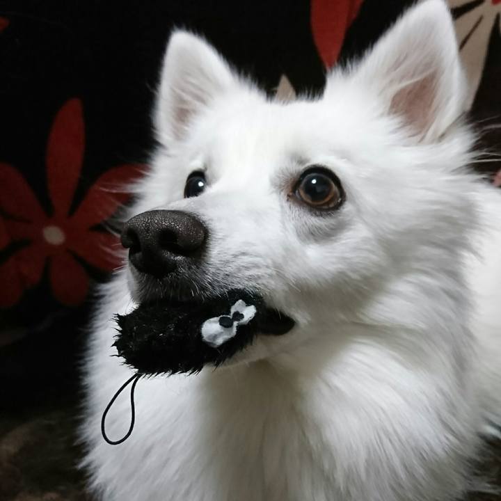 5283b253 165c 4616 a9f3 fc422a16fe5d 1513781811750