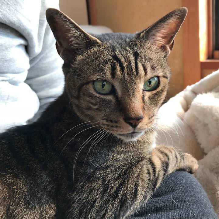 5283b462 00fa 4949 8a65 f97aadb8269a 1523410487979