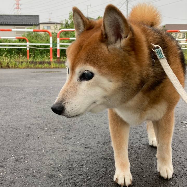 5283cea4 f947 47a5 94dd 5bdc852efea1 1724922385694