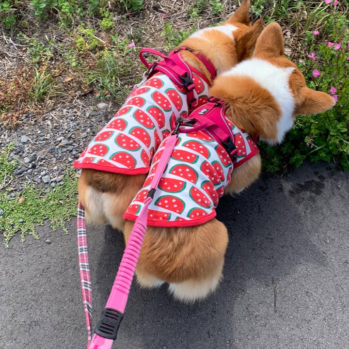 5283e3a0 ea4a 4138 8248 602917848420 1620003454461