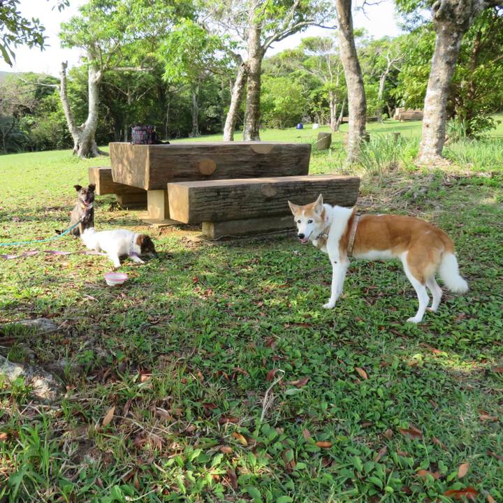 5283f3de 28cf 4000 be72 0ce4cd6c62fd 1551160703420