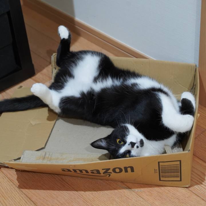 5284403c 4519 4009 aab3 f4c2822ea562 1621434743268