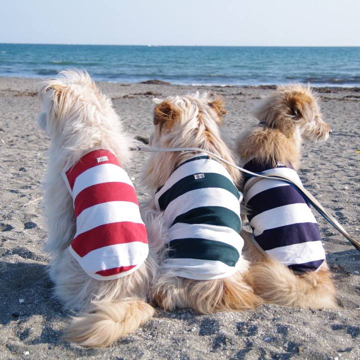 528445d9 5244 4873 924e 06d6cdd40de4 1536191842921