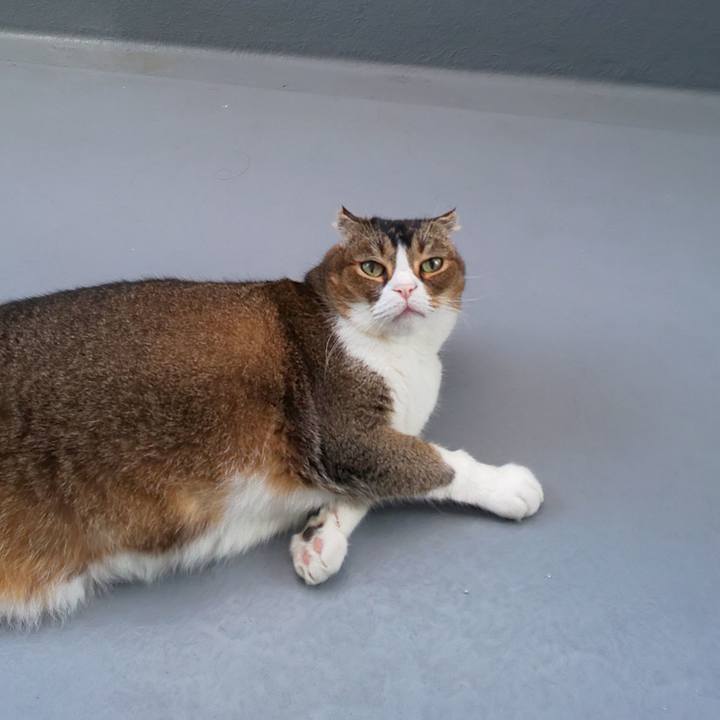 52845834 27f1 4137 bde6 ba10f768200f 1722464949928