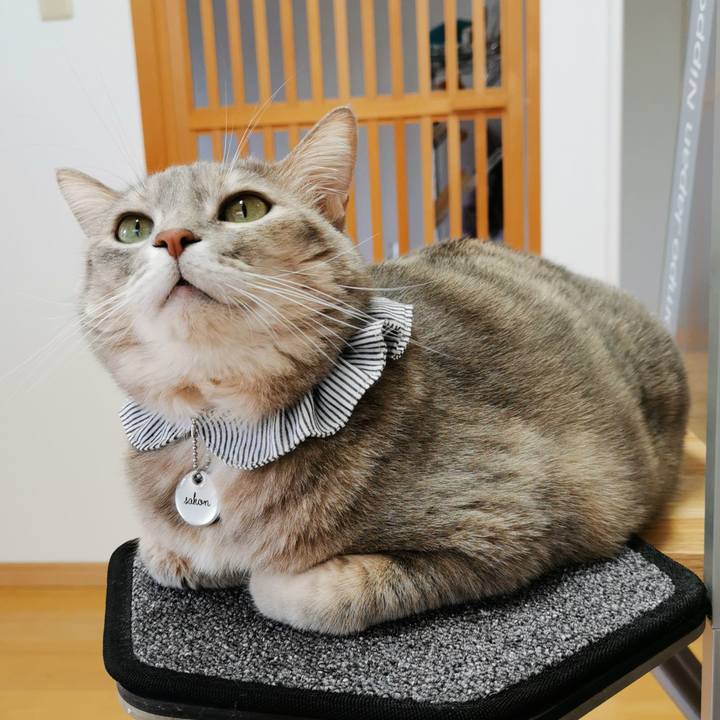 52847869 aa73 4e15 981c 997d6ab7f833 1670251364574