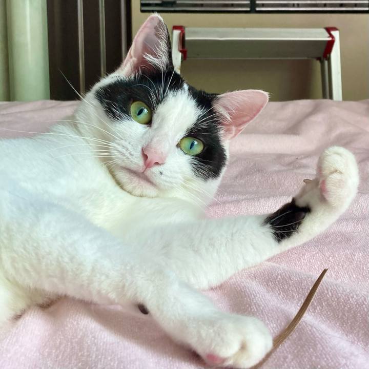 52847872 52a1 4cd9 9df1 95f10beb6b76 1691985564597