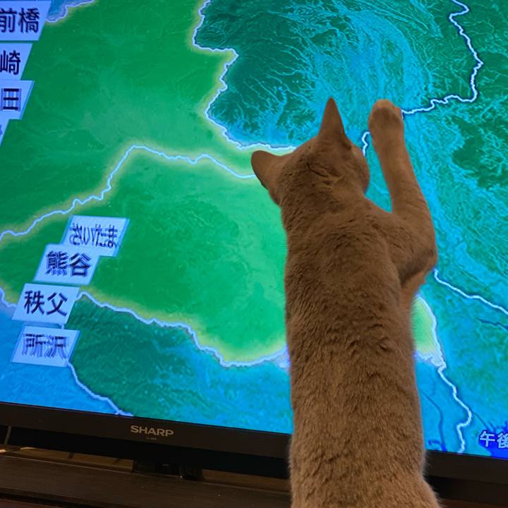 52848590 7f2d 4e21 ac9d 9d8d7cce8b0b 1612399136220