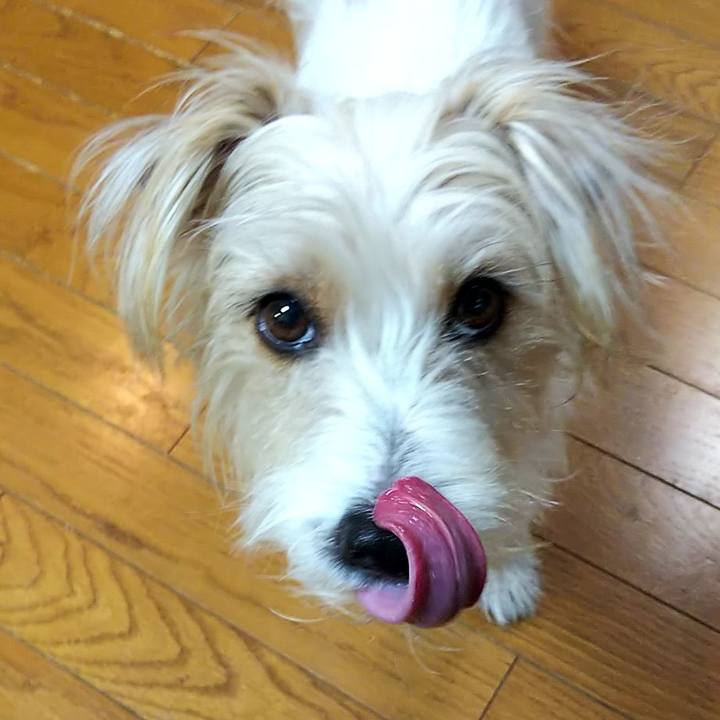 52849193 de9a 4524 9ef7 687a57c5706b 1551047579927