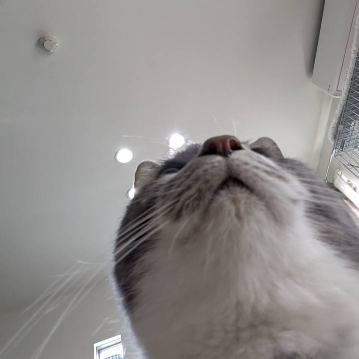 52849bad 65de 4765 9110 3cc4f331ca36 1770262416430