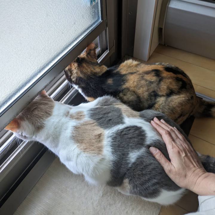 5284a04e 6556 4a81 af64 816254d5df08 1698994668102