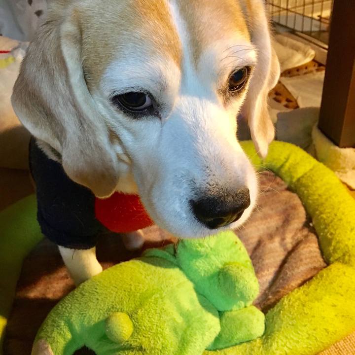 5284b33f 477f 4cd8 8729 50b47022be6d 1547734649140