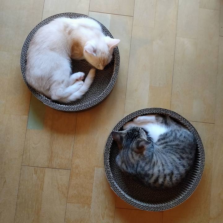 5284dd62 dbab 41c6 9c6d 3ebc4c89a56b 1626170611635