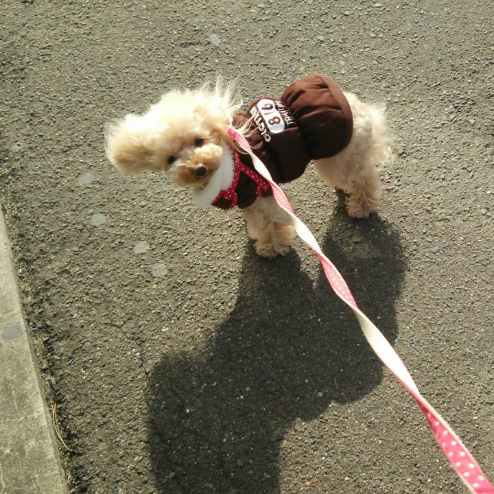 5284f03a abe1 44b4 81ed c3fa842c615a 1547875718297