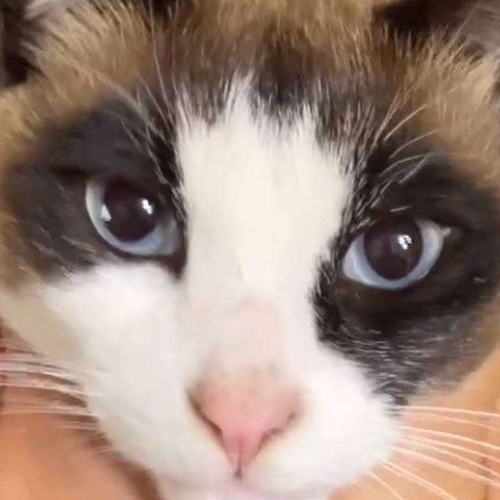 52851b0e 2b64 40a8 bdee f8ead59292d7 1743483282002