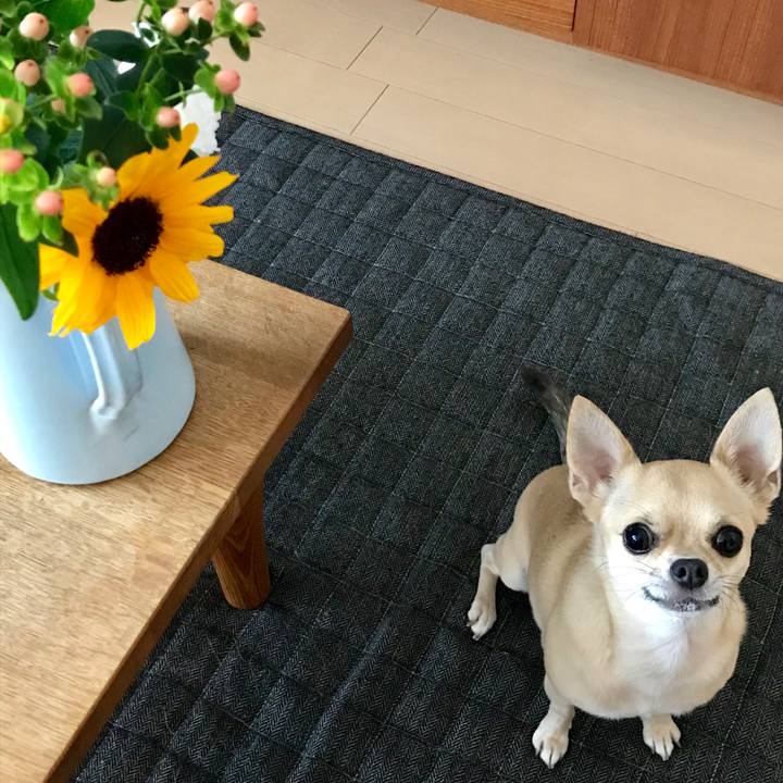 52851b35 35bd 4f85 96ad e15898f09b58 1564457633043