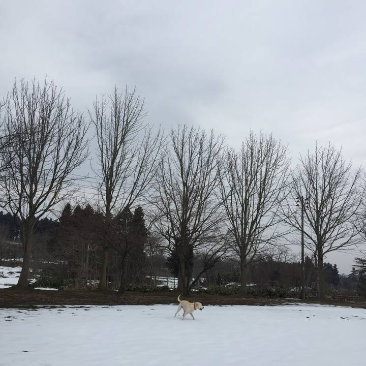 5285264a 0ab5 458c 87f9 4f7f918e0562 1549114360189