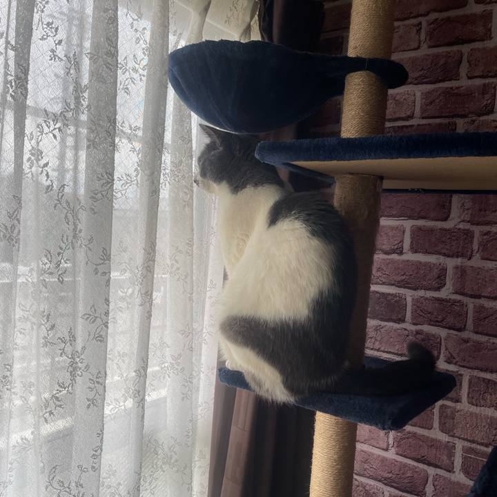 528538d0 a28e 48c0 98c5 4da114fb0209 1743387143362