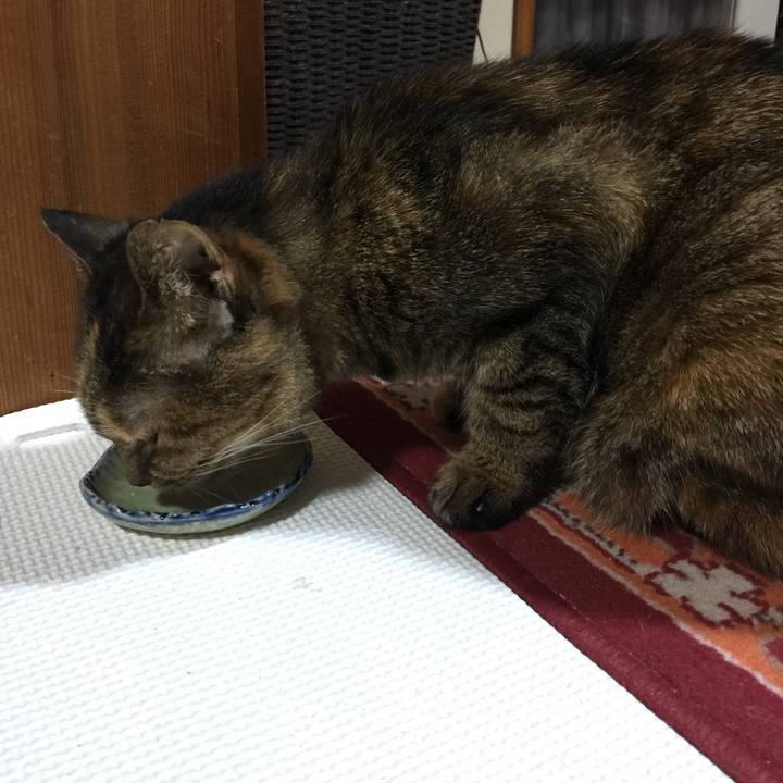 52855174 3240 41d8 9059 f3668c8a976f 1640262370274