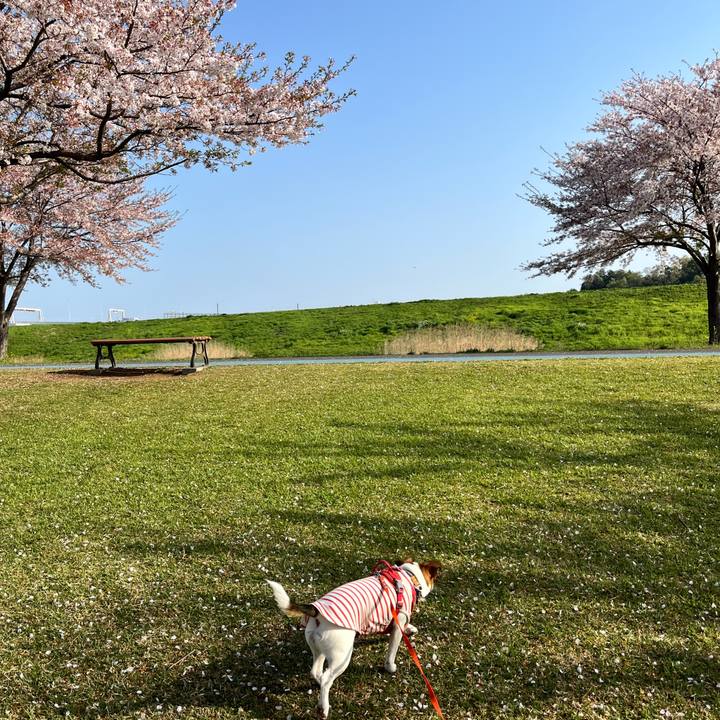 5285650b b1e0 45cb afaa dcc8ef6e808e 1713225821685