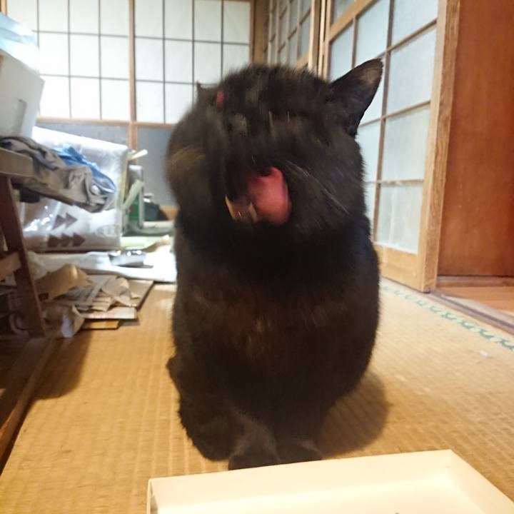 5285a51f 6d50 4b3f b78a fcf38c4e4410 1615642470314