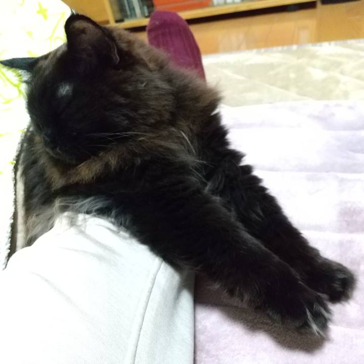 5285af17 50f7 4820 85be 63a6bc025ff2 1675684585331