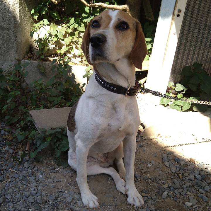 5285dfaa 2d84 4ab8 8970 9a07e08c73ca 1660384941614